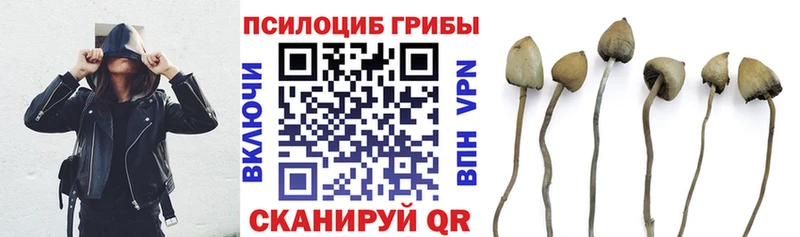 Галлюциногенные грибы Cubensis  Орск 