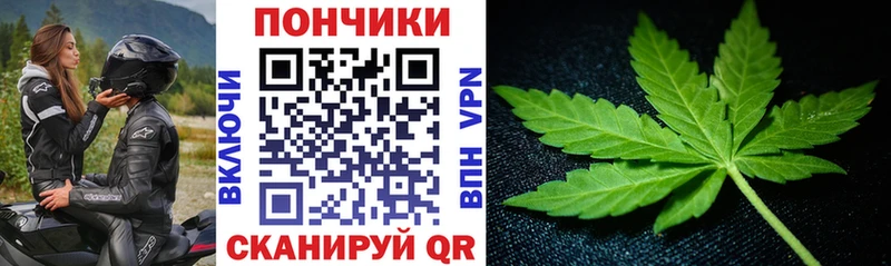 Шишки марихуана ГИДРОПОН ссылка на мегу tor Орск